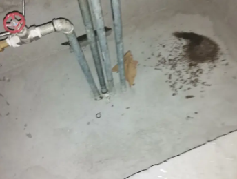 鹿寨卫生间测漏水价格明细