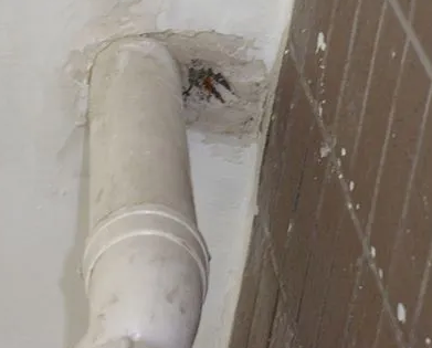 鹿寨漏水检测哪家好